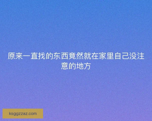 原来一直找的东西竟然就在家里自己没注意的地方 原来一直找的东西竟然就在家里自己没注意的地方